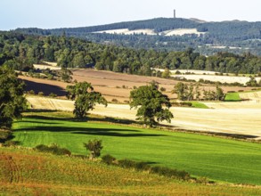Scottish fields and farms, Southeast Scotland, UK