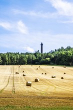 Straw bales in the Scottish fields, Southeast Scotland, UK
