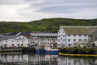 Fishing boats Fishing vessels are moored in Berlevag harbour in the north of the Varanger Peninsula