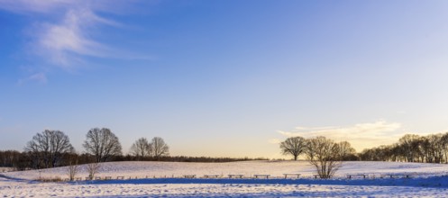 Winter landscape, fields and fields in Berlin Lübars, a village in Berlin Reinickendorf, Germany