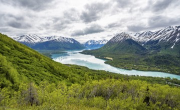 View of snowy mountains in spring and turquoise blue Kenai Lake, Slaughter Ridge Trail, Cooper