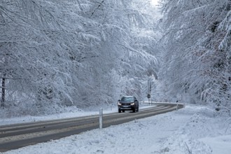 Car driving through snowy landscape, trees, winter, snow, Sieversen, Samtgemeinde Rosengarten,