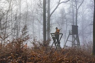 Driven hunting in Schönbuch. In autumn, hunters go hunting for wild boar and deer. Drivers in