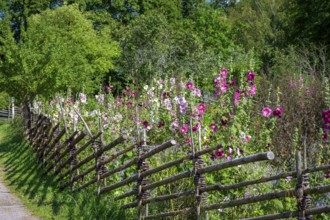 A picturesque garden with flowers and a rural house in the background, the colorful cottage garden