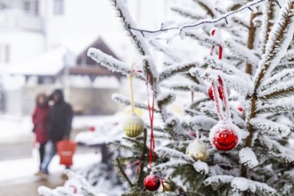 Christmas tree in the snow. The decorative glass balls are covered with hoarfrost. Westerheim,