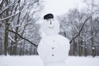 Snowfall, impressions from the Tiergarten, Berlin, 03.01.2026