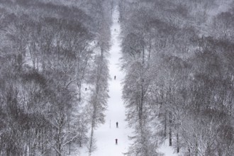 Walkers walk through the snow-covered Tiergarten in Berlin on 03.01.2026