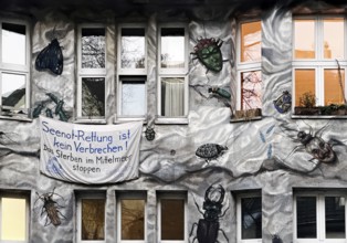 Kiefernstraße, residential street of the left-wing alternative scene with street art on house
