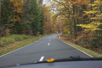 Herbstwald an der Bundestraße 2, View from the car, Gräfenberg, Upper Franconia, Bavaria, Germany