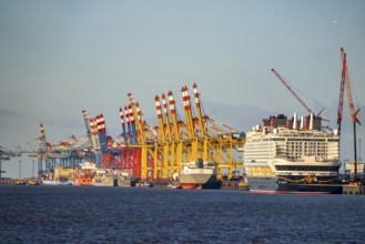 Disney Adventure cruise ship at Bremerhaven Cruise Port, MSC and Eurogate container terminal at