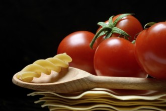 Lasagna, lasagna leaves and cooking spoon with fusilli noodle, noodle nest pasta type