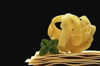 Uncooked lasagna leaves and fettuccine, noodle nest