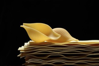 Uncooked lasagna leaves and mussel noodles, conchiglione