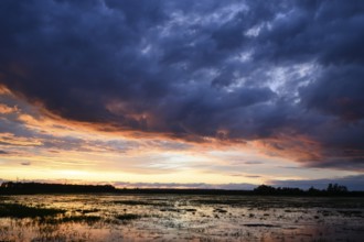 Dramatic sunset over flooded wetlands with wind turbines in the background and bright shades of