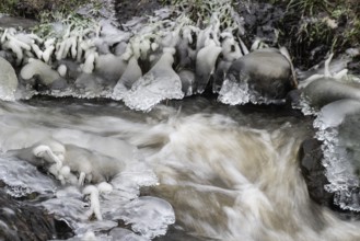 Natural ice sculptures on a stream, Emsland, Lower Saxony, Germany