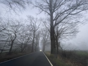 Driver's perspective view of foggy, foggy country road with trees next to the road in thick fog in