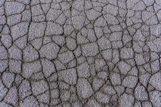 Asphalt surface, floor, with many small cracks, roadway, parking lot