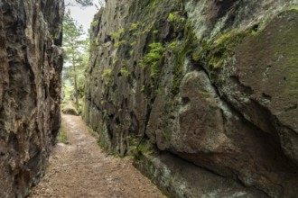 Mühlsteinbrüche hiking area near Jonsdorf in the Zittau Mountains, Upper Lusatia, Saxony, Germany