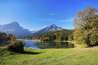 Autumn-colored forest is reflected in Obersee, Näfels, Canton of Glarus, Switzerland