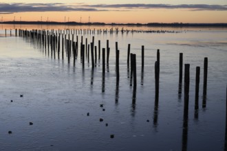 Row of posts over calm water at dusk, deep blue tones, wooden posts, boat dock posts run into the