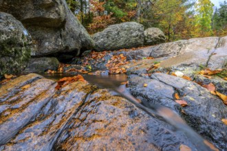River Bode flows over smooth-cut rocks with autumn colors, autumn colors in the Bodetal nature