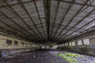 Abandoned hall with Grafity, dilapidated plant of a former agricultural production cooperative of