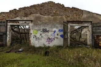 Dilapidated hall with gravity of the dilapidated plant of a former agricultural production