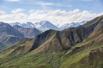 Tundra and mountainous landscape of the Alaska Range, Sable Pass, Denali National Park and
