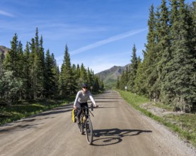 Young woman riding a bicycle on a dirt road through taiga, mountainous landscape, Denali Park Road,