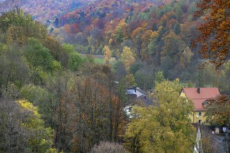 Mixed autumn forest, Franconian Switzerland, Egloffstein, Upper Franconia, Bavaria, Germany