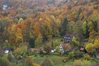 Herbstlicher Mischwald, Egloffstein, Upper Franconia, Bavaria, Germany