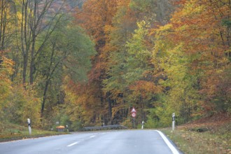 Federal road surrounded by mixed autumn forest, Gräfenberg, Upper Franconia, Bavaria, Germany