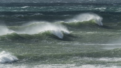Ocean waves, strong surf, west coast of the Taranaki region, North Island, New Zealand