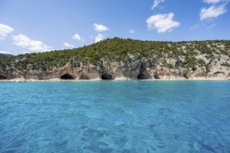 Clear blue water and picturesque rocky coast, Cala Luna cliffs and beach, Golfo di Orosei, Baunei,