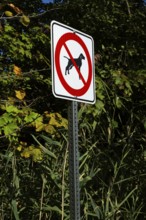 Posted white, red and black pictogram sign warning that dogs are not allowed or forbidden in public
