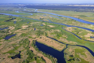 Aerial view over the Oder river in the German-Polish nature reserve Lower Oder Valley International