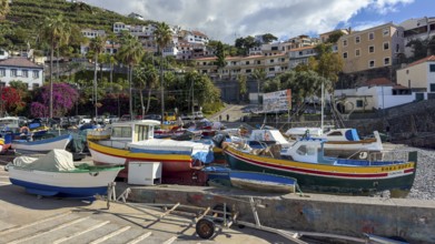 Camera de Lobos fishing village, harbour with fishing boats, Madeira, Portugal
