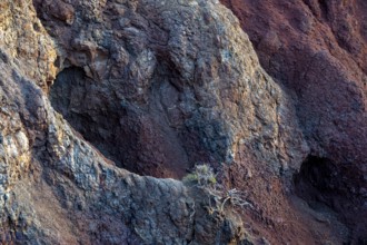 Volcanic soil, colorful soil, red, erosion, near Miradouro da Ponta do Rosto, Madeira, Portugal