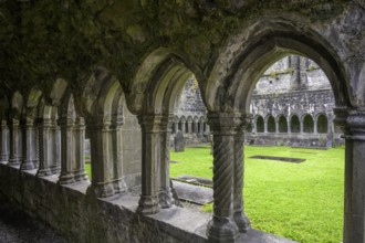 Cloister in the ruins of Sligo Abbey (Dominican) founded 1253, Sligo, County Sligo, Ireland