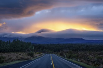 Mount Ngauruhoe in the morning at sunrise with glowing clouds, road SH 47. Tongariro National Park,