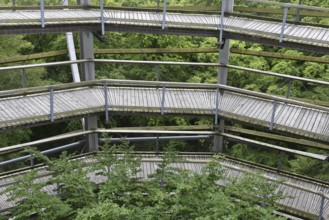 Treetop Trail on Rügen, Natural Heritage Center, Mechlenburg-Vorpommern, Germany