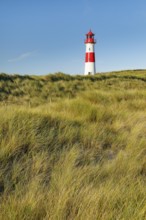 Lighthouse List-Ost am Ellenbogen on the island of Sylt, Germany