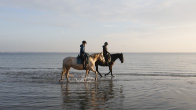 Two female riders ride their horses through the shallow water of the Baltic Sea at sunrise,