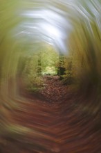 Symbolic picture for tunnel vision and depression, Germany