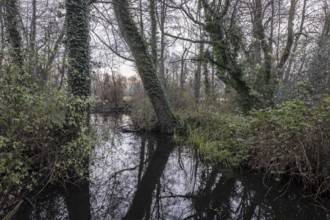 River landscape, Wümme, Lower Saxony, Germany