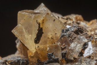 Bright, square crystals are visible on a piece of rock. The light underlines their structure and