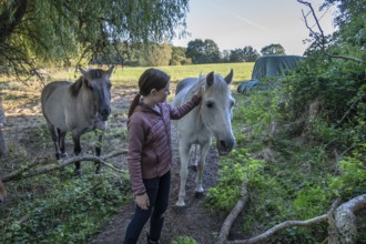 Young girl with her horses in the pasture, Othenstorf, Mecklenburg-Western Pomerania, Germany