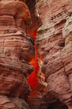 Evening rock glowing in spring at Altschloßfelsen in Eppenbrunn Palatinate, Germany