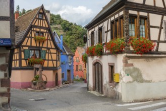 Half-timbered houses passing through Niedermorschwihr, Ellsass