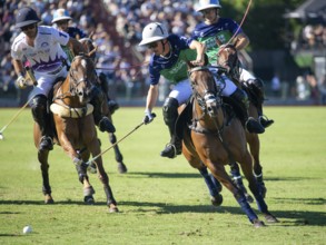Scene at the 132nd Argentinean Open Polo Championship (Spanish 132nd Abierto Argentino de Polo de